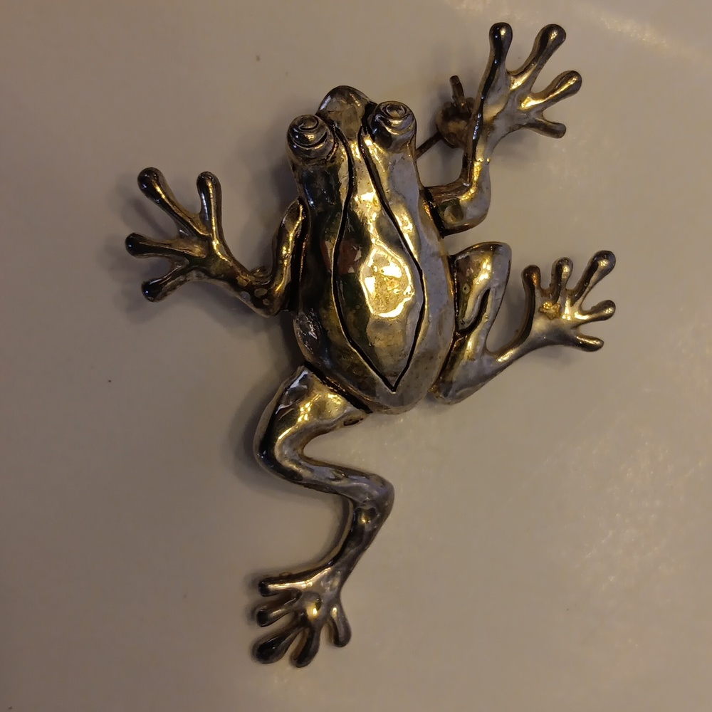 Frog brooch